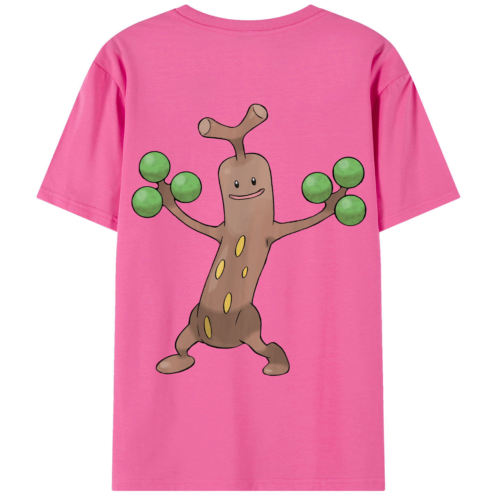 （画像用） ポケットモンスター Pokémon レディース半袖Tシャツ(バックプリント)